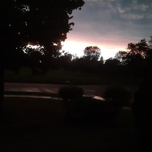 Meet your Posher, Kimmy